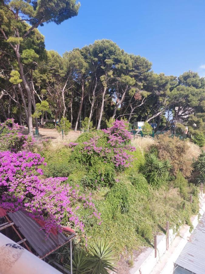 Zoxi Apartmani Split Bagian luar foto